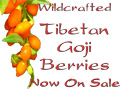 wildcrafted Tibetan Goji Berries, Now on sale