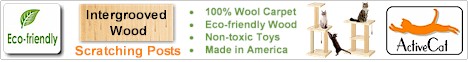 Active Cat non toxic toys, made in America