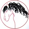 Horse Heaven Equine Rescue dedicated to giving horses a second chance through rehabilitation, adoption, and becoming part of our therapy/learning programs, Healing Hearts with Horses (HHH) Horse Heaven Equine Rescue dedicated to giving horses a second chance through rehabilitation, adoption, and becoming part of our therapy/learning programs, Healing Hearts with Horses (HHH)