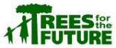 Trees for the Future Since 1989, Trees for the Future has been helping communities around the world plant trees. Trees for the Future Since 1989, Trees for the Future has been helping communities around the world plant trees.
