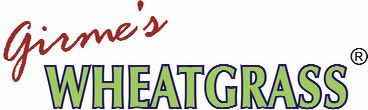 Wheat Grass Powder (Food Supplement) Co, India.