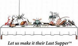 J. D'Ambrozio Pest Management: Organic Pest Control Services to protect your health & property