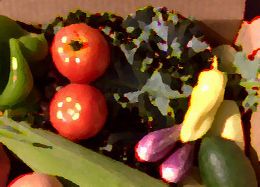 Local/Organic Produce Delivered to You Local/Organic Produce Delivered to You