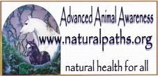 Advanced Animal Awareness