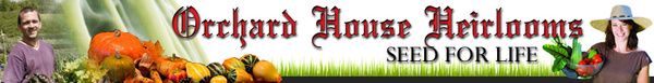 Heirloom Organic Vegetable Seeds Herbs Open Pollinated For Your Garden