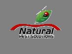 Protect your family, pets, home, and environment with our natural pest managment programs.