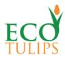 The only American source of organic tulip bulbs! Organic bulbs wholesale and retail.