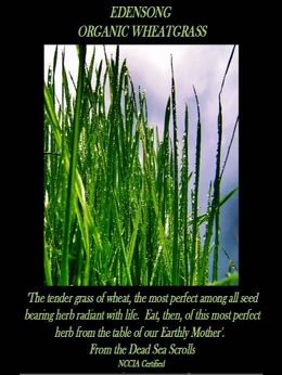 The Ideal Herbal Supplement: Mineral Rich, Nutrient Dense Organic Wheatgrass The Ideal Herbal Supplement: Mineral Rich, Nutrient Dense Organic Wheatgrass