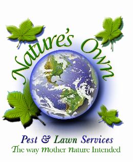 100% Natural Pest Control $50.00 First Service Special Nature's Own Pest & Lawn Services 1-877-90-GO 100% Natural Pest Control $50.00 First Service Special Nature's Own Pest & Lawn Services 1-877-90-GO
