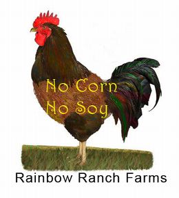 Sustainable, Permaculture Raised Heritage Meats-No Corn, No Soy, No Wheat, No GMOs. Order Online!