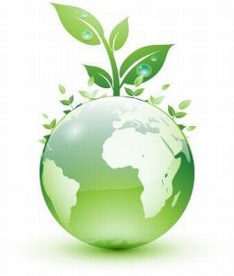 Truly Organic. Organic Hair Products, Organic Skin Care and  Body Care.  The Essence of Total Health