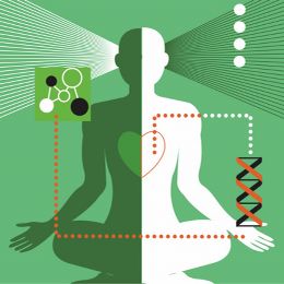 Your Holistic Nurse: Wellness for the individual and group focusing on stress and weight management