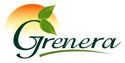 Organic Moringa Powder, capsules and Tea
