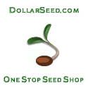 Flowers, Herbs, Sprouts and Vegetable seeds just $1/Pkg.